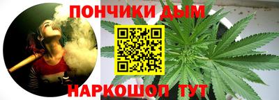 наркотики Сланцы