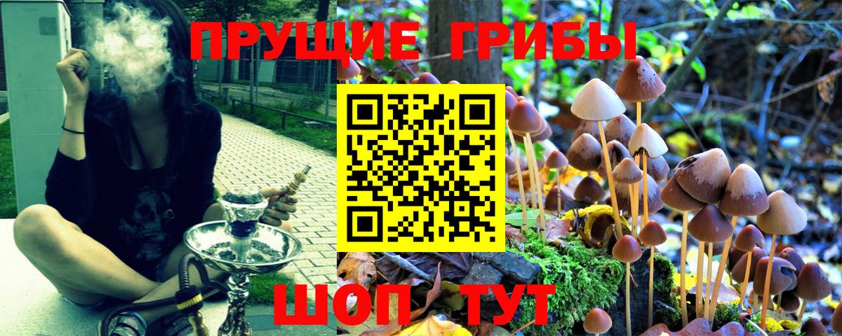 Псилоцибиновые грибы MAGIC MUSHROOMS  Псилоцибиновые грибы Cubensis  Протвино  Вход с VPN 
